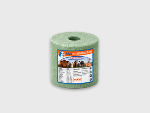 Vector-G Mineral Block 5 kg